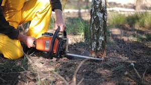 Lawn Grading and Leveling in Wabasha, MN